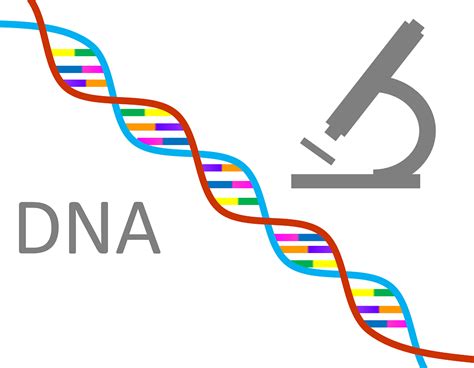Dna Genética Ciência · Imagens grátis no Pixabay