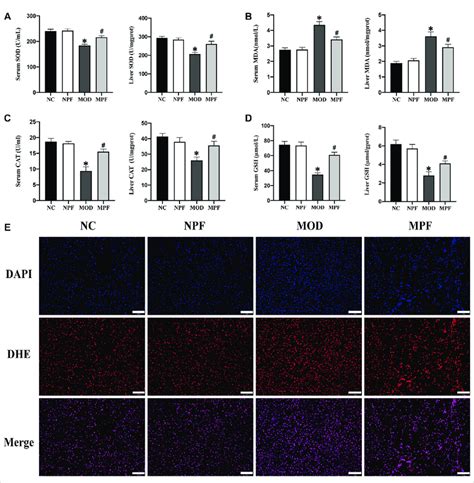 Effects Of Paeoniflorin Pf On Oxidative Stress Indicators In The