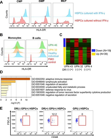 Mechanisms Underlying The Hla Dr Loss On Hspcs And Gene Expression