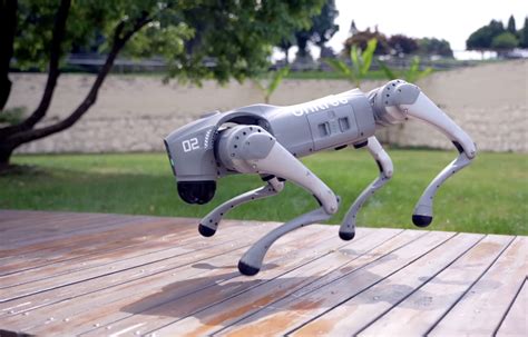 Robotic pets will replace space dog testing in the future 12