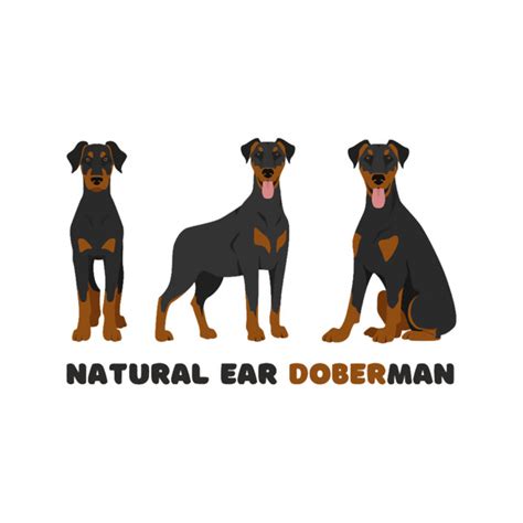 Natural Ear Doberman15 Inspire Uplift