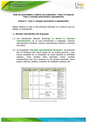 Los Sistemas Del Cuerpo Humano Para Primero De Primaria El Sistema