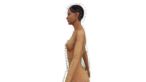 D Acupuncture Naked Man D Model Cgtrader