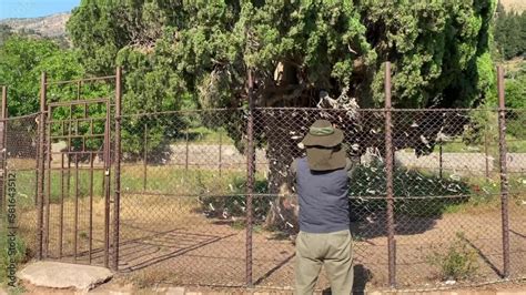 Botanical Garden In Iran Scientist Observe The Old Ancient Historical