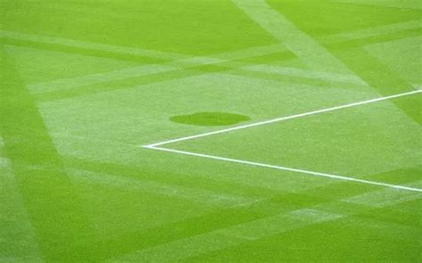 Its A Sad Day For Leicester Citys Groundsmen After Premier League