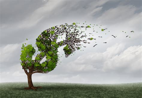 shelter   financial storm thirdage