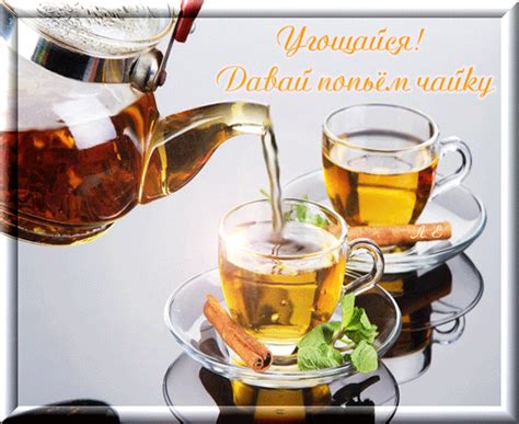 ДЛЯ ЛЮБИТЕЛЕЙ ЧАЯ! | ПОЗИТИВ | Постила