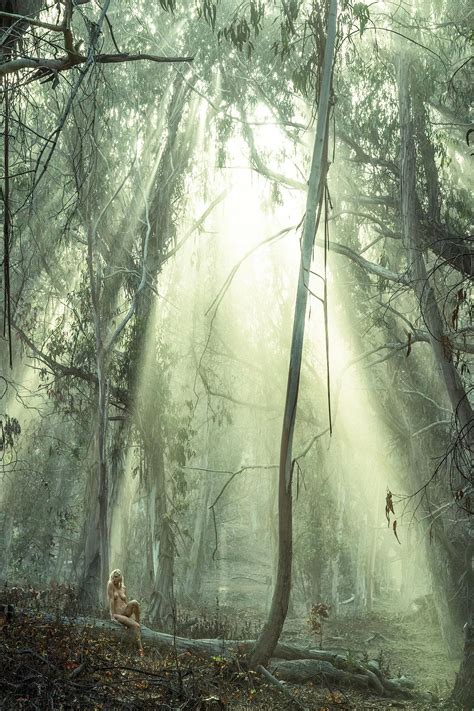 Alone In The Forest Nudes Notsafefornature Nude Pics Org