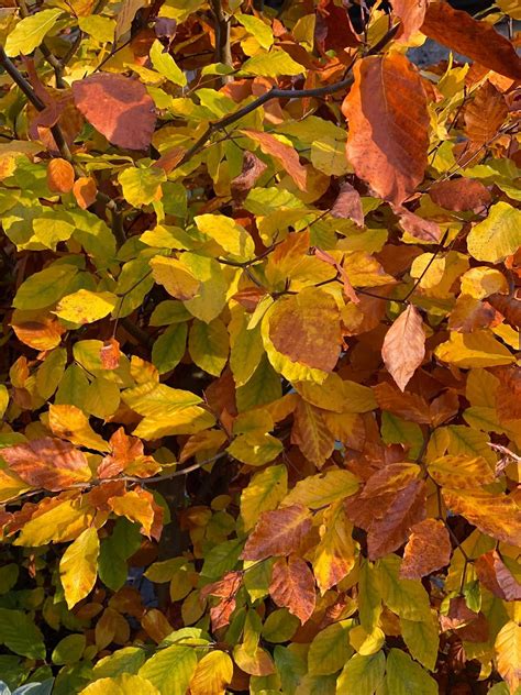 Our Top 10 things to do in October - Town End Farm