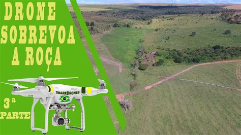 DRONE SOBREVOA A ROÇA IBICORA CASCAVEL BA PARTE 03 YouTube