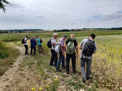 Dorset Group Jul Bere Wood And Bere Down Gay Outdoor Club