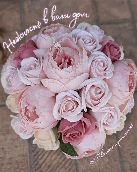 Мыльные розы и шёлковые пионы | Flowers, Rose, Plants