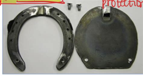 equine hoof ocd bone spavin sx flashcards quizlet