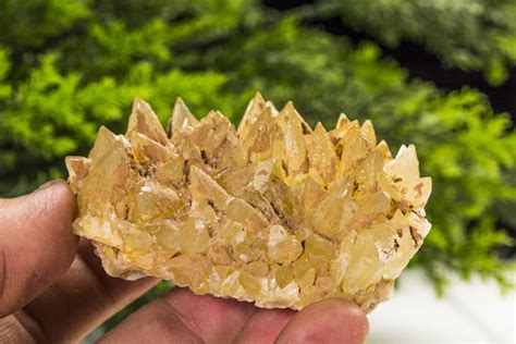 kalsit images browse  stock  vectors  video adobe stock