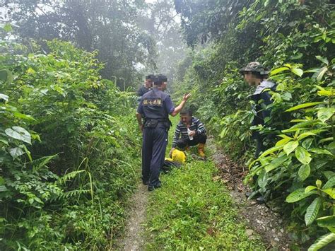 花蓮查獲山老鼠盜採野生牛樟芝 超過1台斤市價逾30萬 社會 自由時報電子報