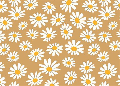 Papel Kraft Natural 48 Cm X 69 Cm 25 Folhas Margarida Embala Flor