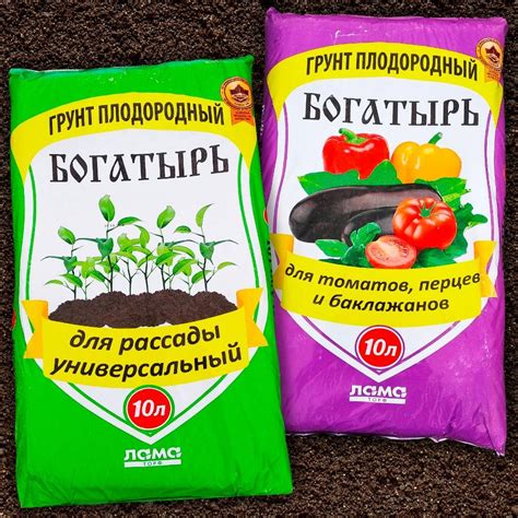 Состав грунта для рассады помидоров: какая земля лучше, какую почву любят