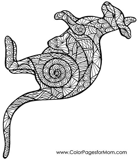 aboriginal australian animal coloring pages coleilmoreno