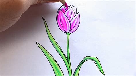 Blüte Rose Zeichnen Bleistift