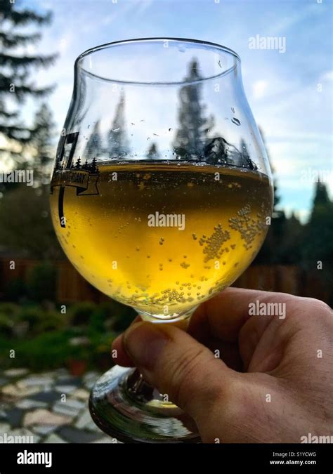 A Glass Of Cider Stock Photo Alamy