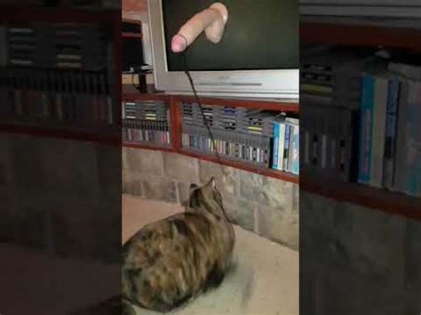 Playing With My Fat Pussy YouTube