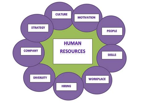 Human Resources Diagram Human Resource Management Hrm Management Notes