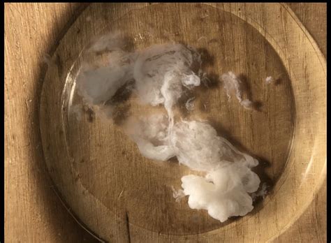 My Life Giving Seed 2 Nude Pics XHamster