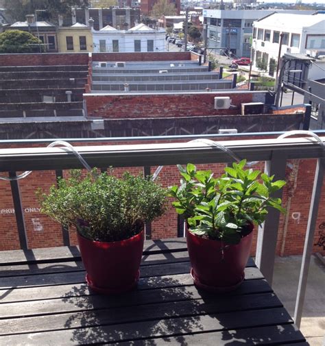 Balcony Gardening Freestanding Vertical Garden Edition