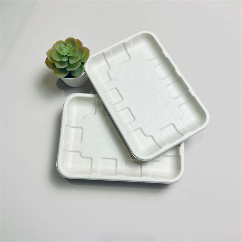 Sugarcane Pulp Compostable Disposable Bagasse Trays For Meat Fruit