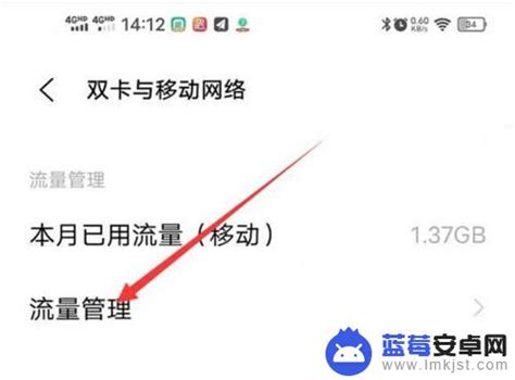 Vivo手机怎么设置免流量vivo手机移动流量限制如何解除 蓝莓安卓网