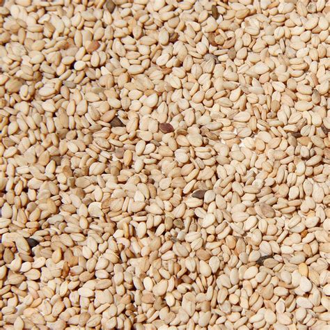 Natural Sesame Seeds - Sesame King