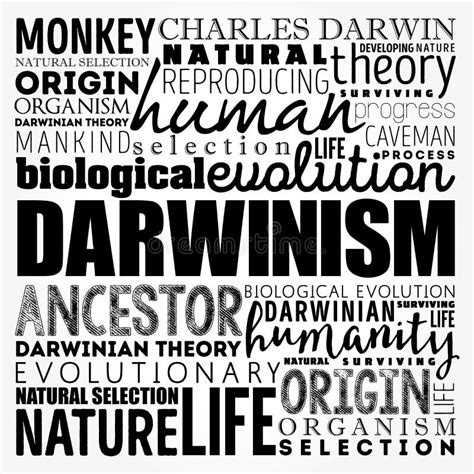 Darwinismo Ilustra Es Vetores E Clipart De Stock Stock