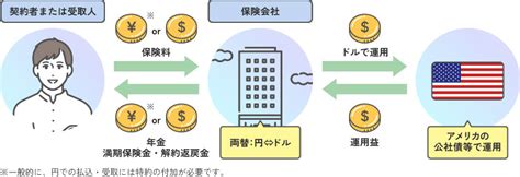 外貨建（米ドル建）保険とは？特徴やメリット・デメリットなどを紹介｜保険manaviスクエア｜dot L The Media｜ソニー生命保険