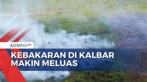 Kebakaran Hutan Di Kalimantan Barat Meluas Gubernur Bekukan Izin Konsensi Perusahaan Youtube