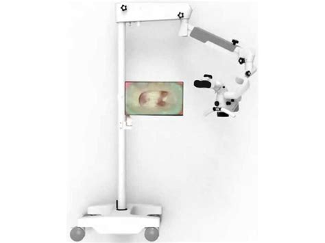 Dental Video Microscope