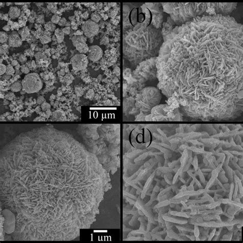 Schematic Diagram For Photocatalysis Of Ag ZnO Nanocomposites