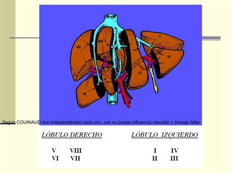 Absceso Hep Tico Ppt