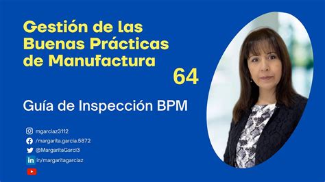 Guía inspección BPM Digemid Perú YouTube