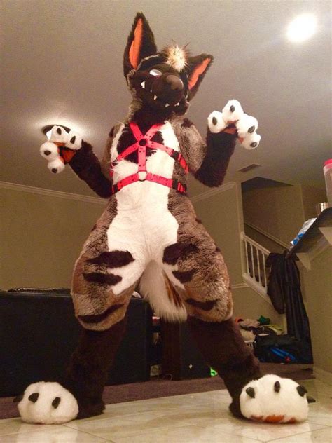 Really Awesome Morefurless Suit Fursuit Furry Furry Art Anthro Furry