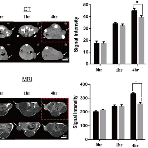 Ct Mri Results From Balb C Nude Mouse Model Imaging Results From