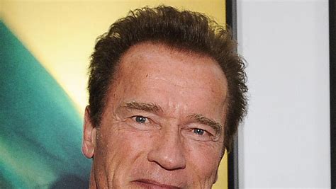 Arnold Schwarzenegger Wollte Terminator Rolle Nicht Abendzeitung