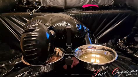 Free Piss Drinking Slave Porn Videos XHamster