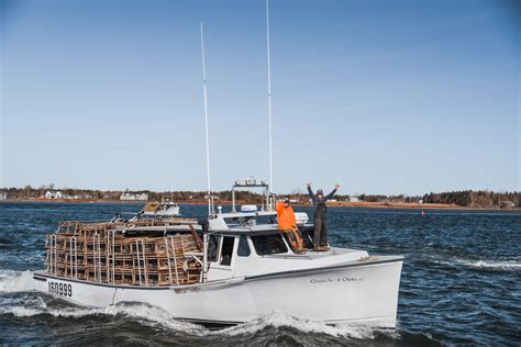 Experts analyze what the latest pei island deaths mean for the public