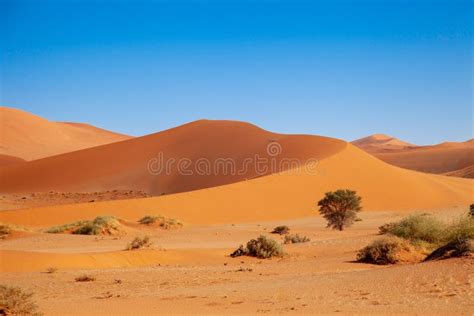 Parcs Nationaux De Sossusvlei De La Namibie Entre Le D Sert Et La