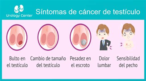 ¿qué Es El Cáncer De Testículo Urology Center