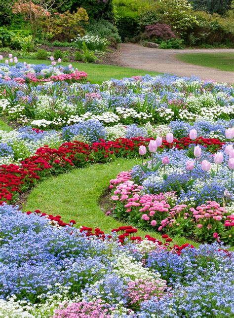 How To Keep Hens Out Of Flower Beds at Zac Bingham blog