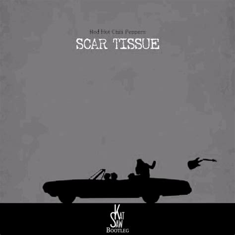 Red Hot Chili Peppers Scar Tissue Album