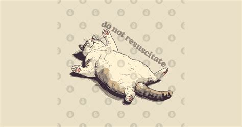Do Not Resuscitate Lazy Ass Cat Design Lazy T Shirt TeePublic