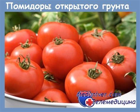 Есть ли витамины в помидорах? - польза и вред томатов