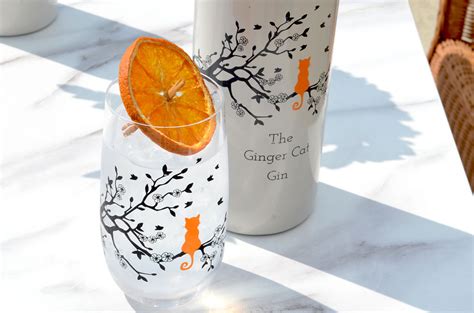 Product Of The Week Ginger Cat Crystal Glass Gin Kitchen